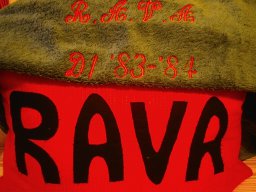0DIA 1984 RAVA PUPS 1